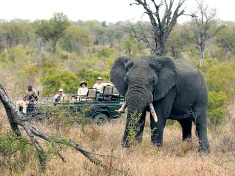 Exclusive Cape Town & Kruger Romance